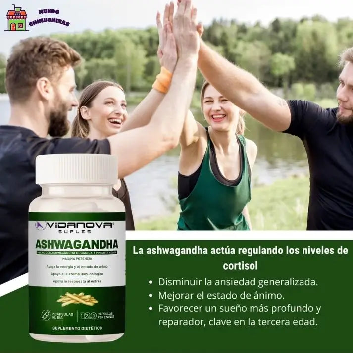 Ashwagandha + Bisglinato y Citrato de Magnesio 1000mg 60 CAPS