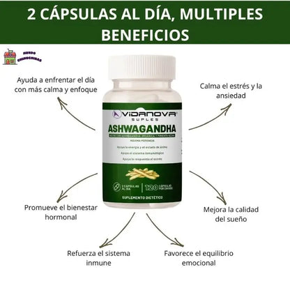 Ashwagandha + Bisglinato y Citrato de Magnesio 1000mg 60 CAPS