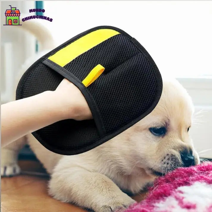 GloveClean - Adiós al pelo de mascotas en segundos